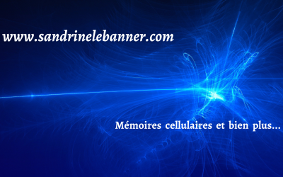 Formation niveau 2 au Massage Métamorphique