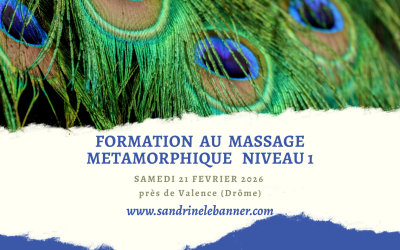 Formation Massage Métamorphique Niveau 1