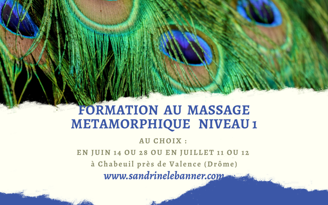 formation au massage métamorphique niveau 1