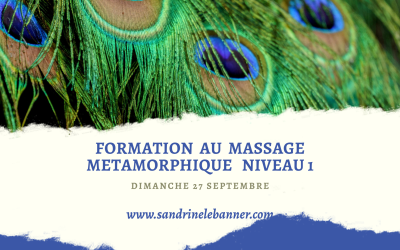 Formation au Massage Métamorphique Niveau 1
